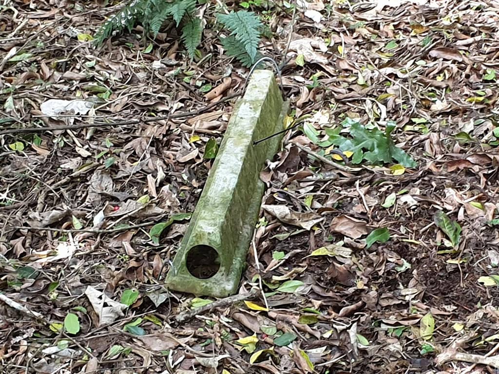 rodent trapping in bush nz