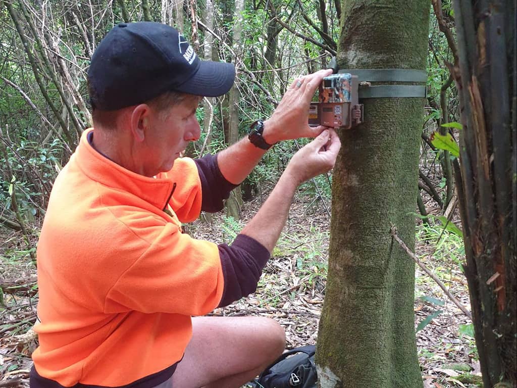 Setting an advanced warning system in a reserve chasing the last few