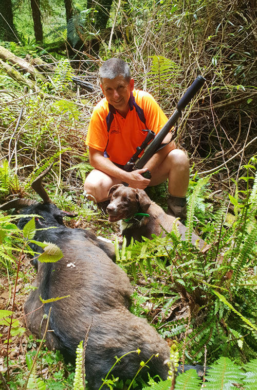 ungulate management